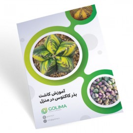 بذر کاکتوس